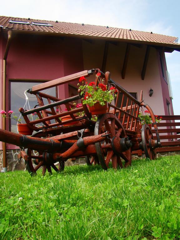 Colt De Rai Hotel Covasna Exterior photo